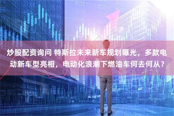 炒股配资询问 特斯拉未来新车规划曝光，多款电动新车型亮相，电动化浪潮下燃油车何去何从？